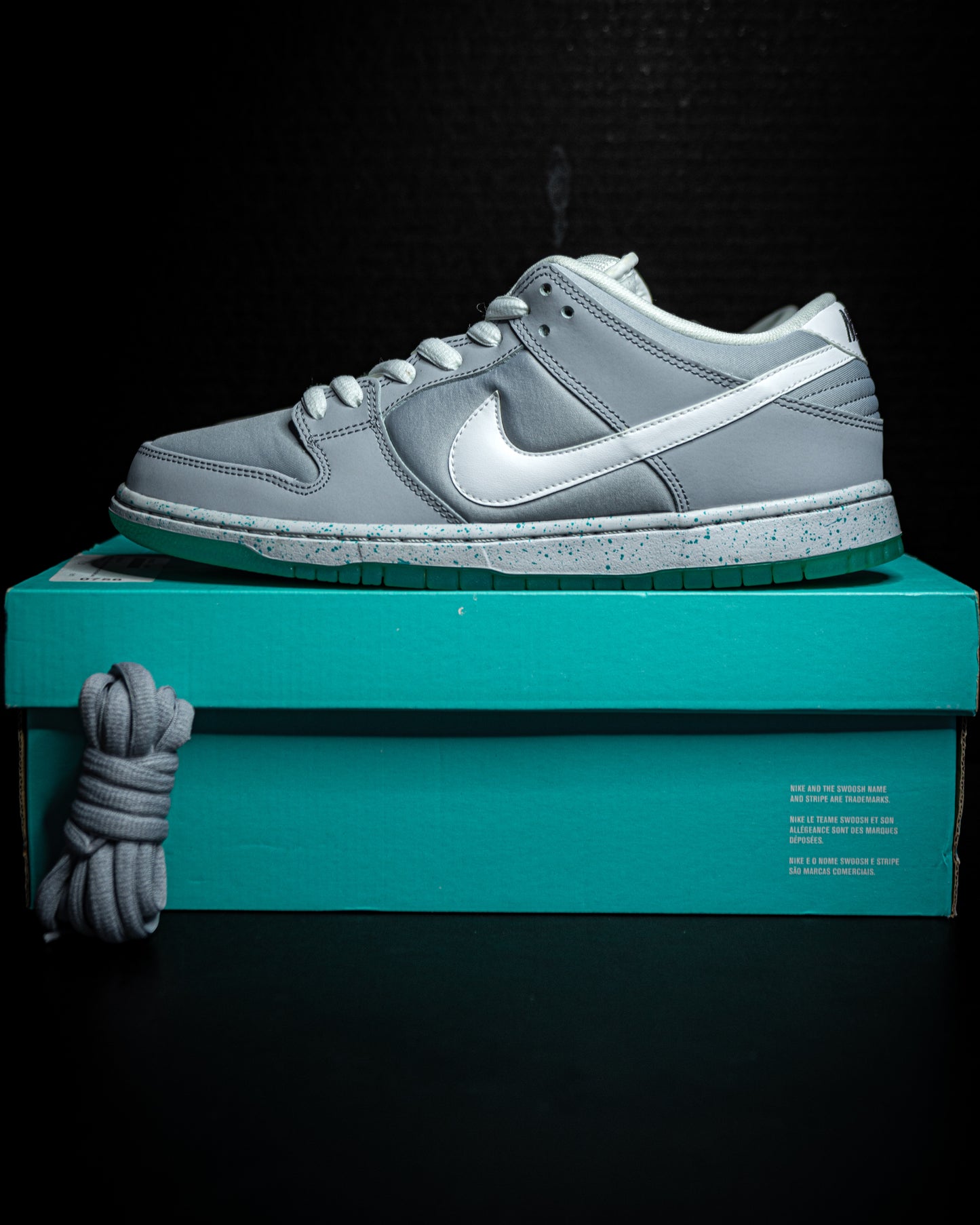 Nike SB Dunk Low Marty McFly 2015 (USED)