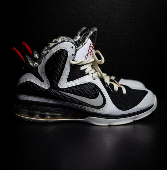 Nike LeBron 9 Freegums (USED)