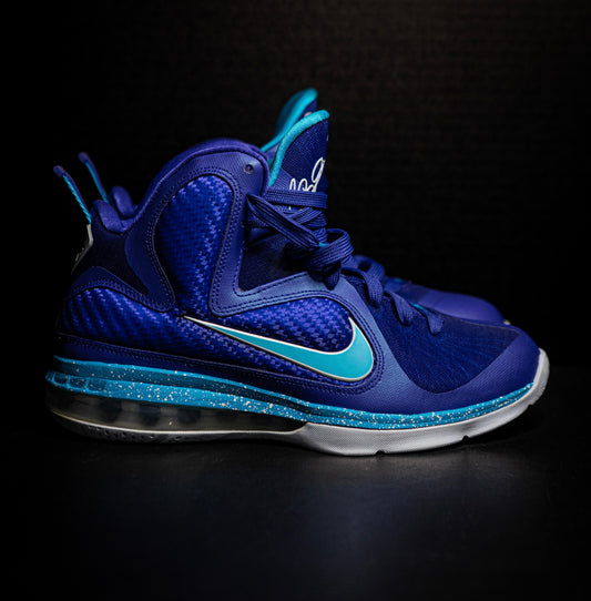 Nike Lebron 9 Summit Lake Hornets (USED)
