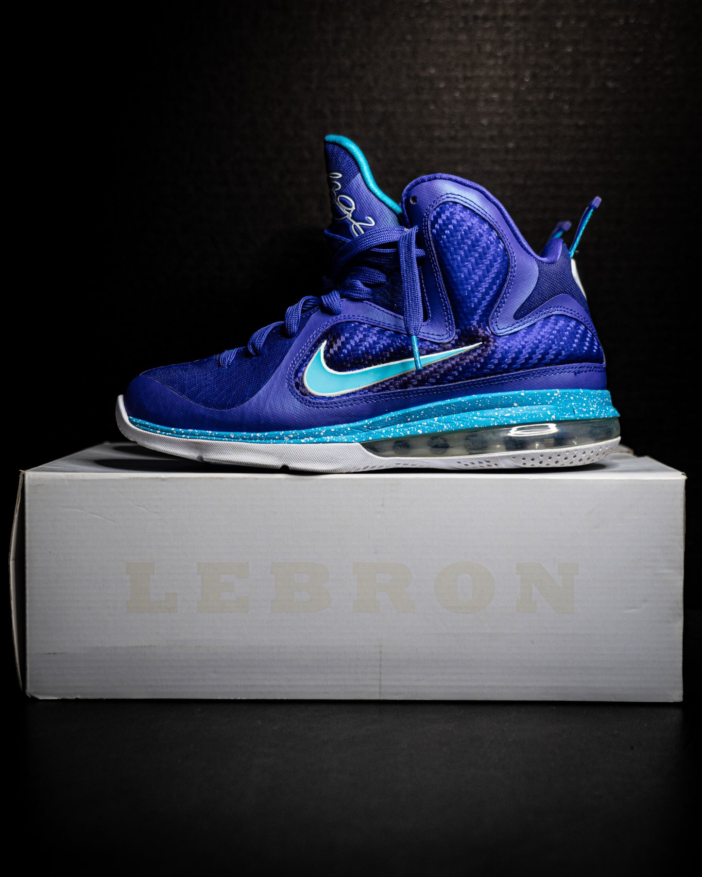 Nike Lebron 9 Summit Lake Hornets (USED)