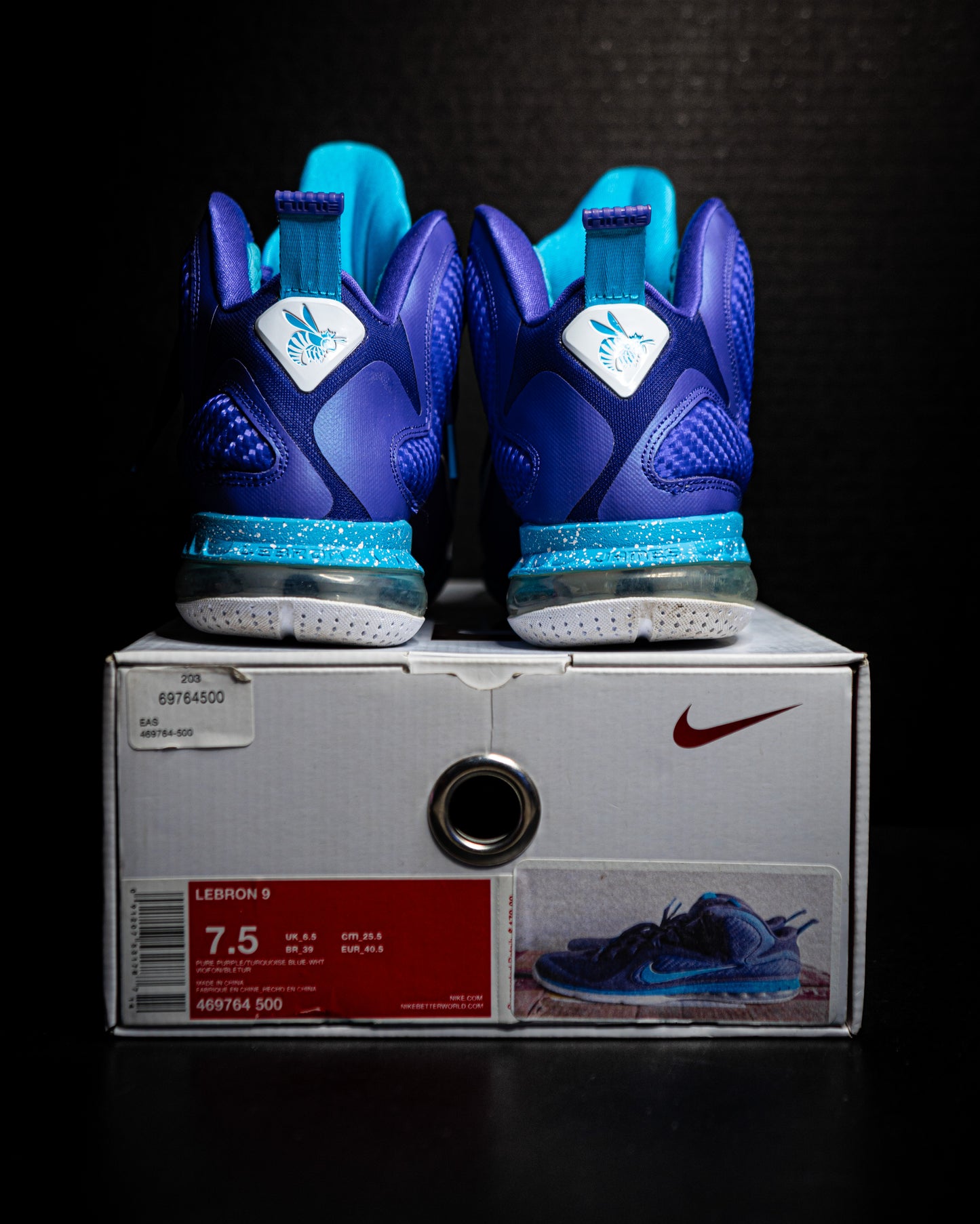 Nike Lebron 9 Summit Lake Hornets (USED)