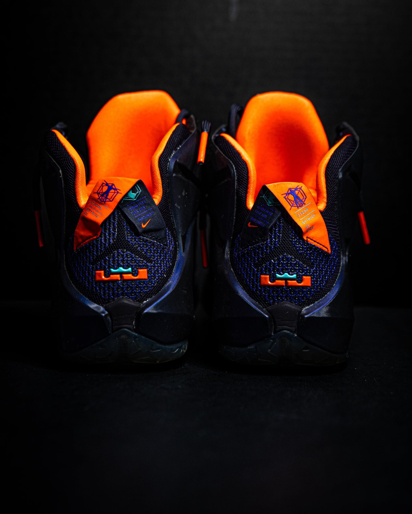 Nike LeBron 12 Instinct (USED/NO BOX)